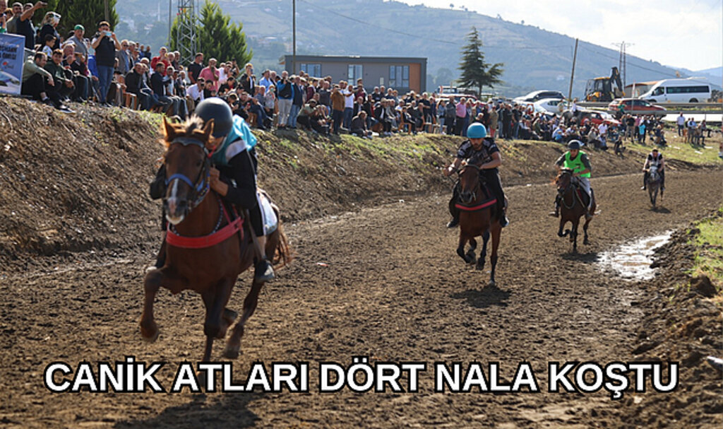 Canik Atları Dört Nala Koştu