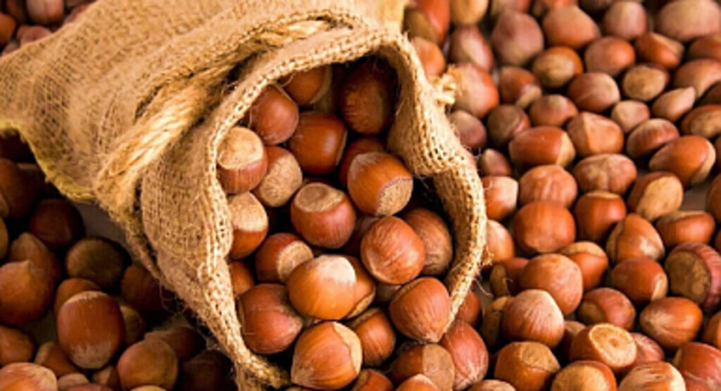 Güncel fındık fiyatları