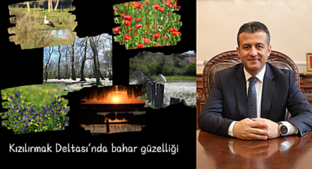 Kızılırmak Deltası’nda bahar güzelliği 