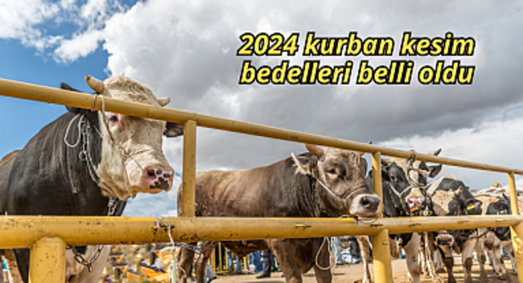 2024 kurban kesim bedelleri belli oldu
