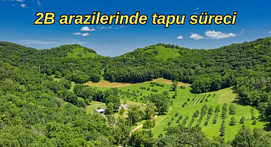 2B arazilerinde tapu süreci