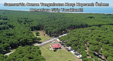 Samsun'da Orman Yangınlarına Karşı Kapsamlı Önlem: Ormanlara Giriş Yasaklandı!