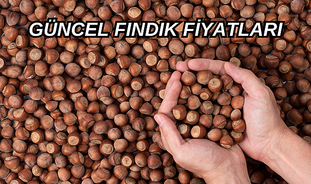 30 Temmuz Fındık fiyatları ne kadar oldu? Serbest piyasada güncel fındık fiyatı!