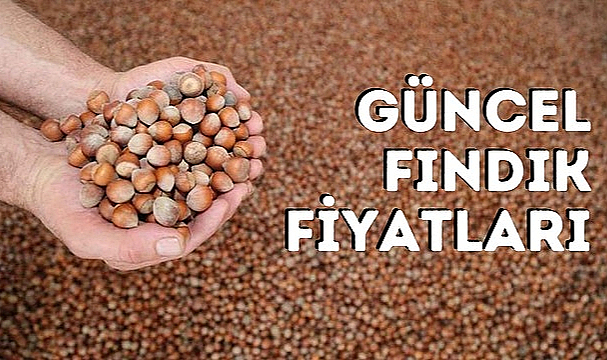 1 Ağustos Fındık fiyatları ne kadar oldu? Serbest piyasada güncel fındık fiyatı!