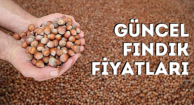 7 Ağustos Fındık fiyatları ne kadar oldu? Serbest piyasada güncel fındık fiyatı! 