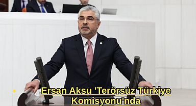 Ersan Aksu 'Terörsüz Türkiye Komisyonu'nda
