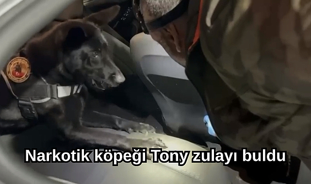 Samsun’da Narkotik Köpeği TONY Koltuk Döşemesine Gizlenen Metamfetaminleri Ortaya Çıkardı