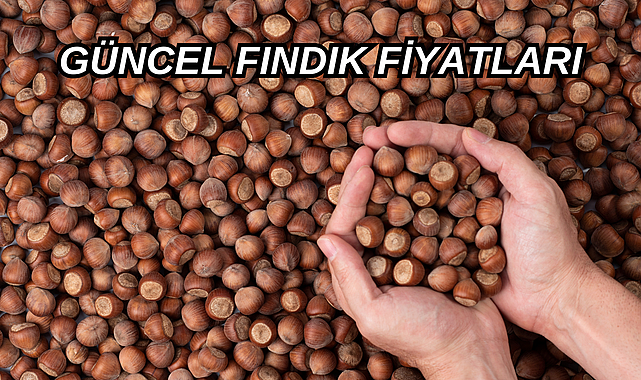 31 Ekim Fındık fiyatları ne kadar oldu? Serbest piyasada güncel fındık fiyatı!