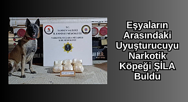 Eşyaların Arasındaki Uyuşturucuyu Narkotik Köpeği Şila Buldu