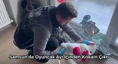 Samsun'da Oyuncak Ayı İçinden Kokain Çıktı