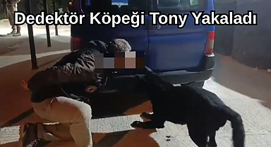 Dedektör Köpeği Tony Yakaladı