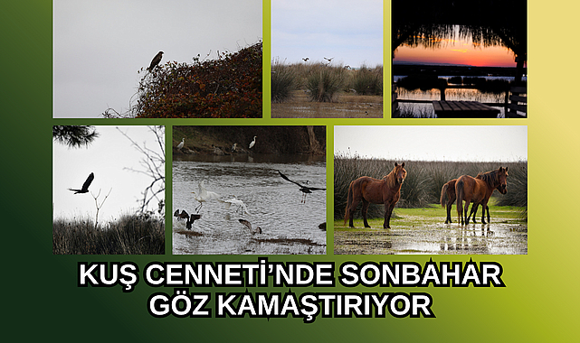 KUŞ CENNETİ’NDE SONBAHAR GÖZ KAMAŞTIRIYOR