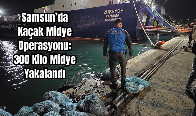 Samsun’da Kaçak Midye Operasyonu: 300 Kilo Midye Yakalandı