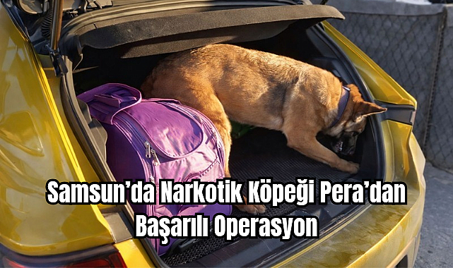 Samsun'da Narkotik Köpeği Pera'dan Başarılı Operasyon