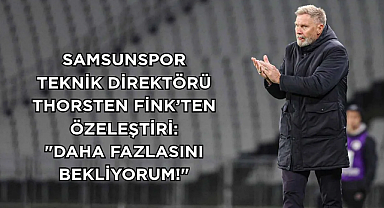Fink'ten Özeleştiri: 