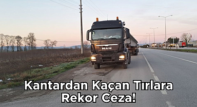 Samsun-Ordu Karayolunda 