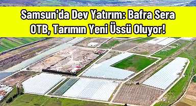 Samsun'da Dev Yatırım: Bafra Sera OTB, Tarımın Yeni Üssü Oluyor!