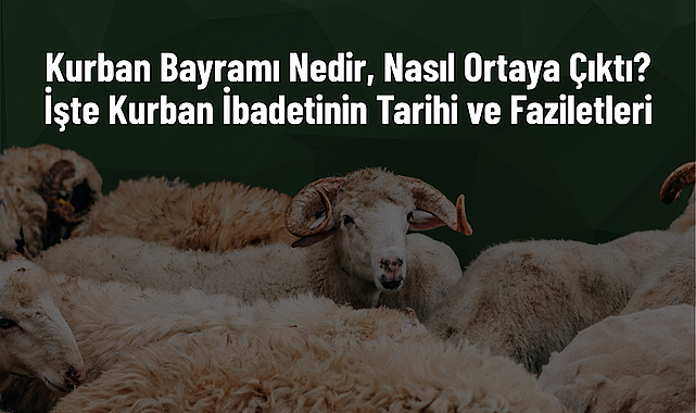 Kurban Bayramı Nedir, Nasıl Ortaya Çıktı? İşte Kurban İbadetinin Tarihi ve Faziletleri