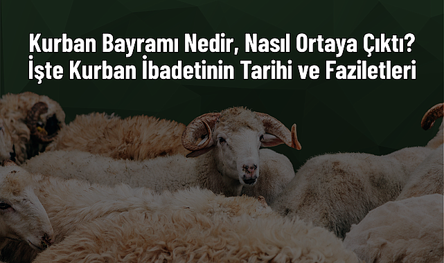 Kurban Bayramı Nedir, Nasıl Ortaya Çıktı? İşte Kurban İbadetinin Tarihi ve Faziletleri - samsunkulishaber.com