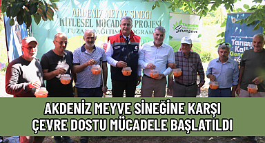 AKDENİZ MEYVE SİNEĞİNE KARŞI ÇEVRE DOSTU MÜCADELE BAŞLATILDI