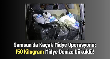 Samsun'da Kaçak Midye Operasyonu: 150 Kilogram Midye Denize Döküldü!