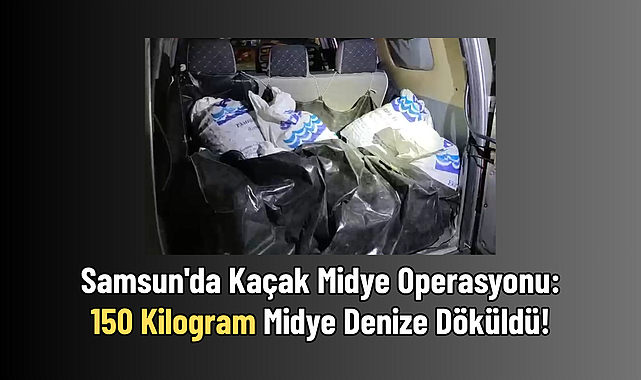 Samsun'da Kaçak Midye Operasyonu: 150 Kilogram Midye Denize Döküldü!