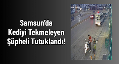Samsun’da Kediyi Tekmeleyen Şüpheli Tutuklandı!