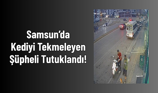 Samsun’da Kediyi Tekmeleyen Şüpheli Tutuklandı!