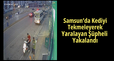 Samsun’da Kediyi Tekmeleyerek Yaralayan Şüpheli Yakalandı