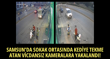SAMSUN'DA SOKAK ORTASINDA KEDİYE TEKME ATAN VİCDANSIZ KAMERALARA YAKALANDI!