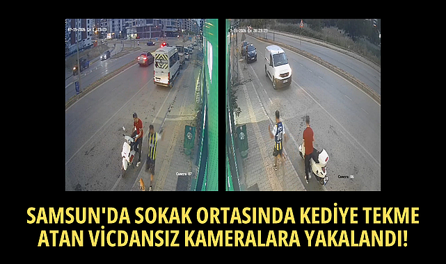 SAMSUN'DA SOKAK ORTASINDA KEDİYE TEKME ATAN VİCDANSIZ KAMERALARA YAKALANDI!