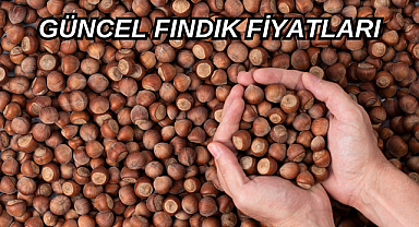 17 Ağustos fiyatları ne kadar oldu? Serbest piyasada güncel fındık fiyatı!