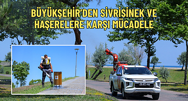 BÜYÜKŞEHİR’DEN SİVRİSİNEK VE HAŞERELERE KARŞI MÜCADELE