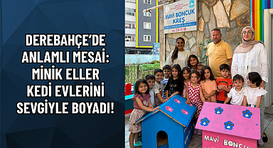 DEREBAHÇE’DE ANLAMLI MESAİ: MİNİK ELLER KEDİ EVLERİNİ SEVGİYLE BOYADI!