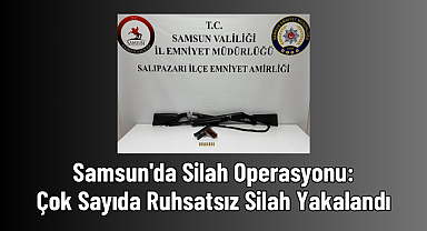 Samsun'da Silah Operasyonu: Çok Sayıda Ruhsatsız Silah Yakalandı