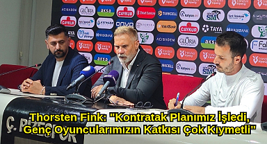 Thorsten Fink: