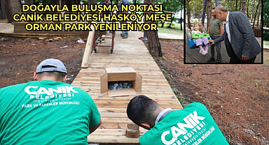 Canik Belediyesi Hasköy Meşe Orman Park Yenileniyor
