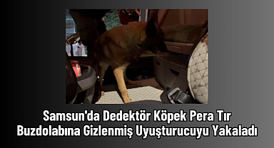 Samsun'da Dedektör Köpek Pera Tır Buzdolabına Gizlenmiş Uyuşturucuyu Yakaladı