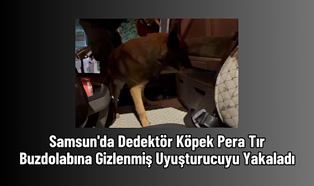 Samsun'da Dedektör Köpek Pera Tır Buzdolabına Gizlenmiş Uyuşturucuyu Yakaladı