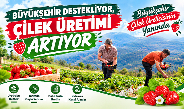 ÇİLEK BAHÇELERİ FARKLI HAYAT HİKAYELERİNE KAPI ARALIYOR