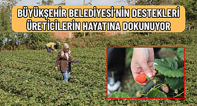 PEYZAJ MİMARLIĞINDAN ÇİLEK ÜRETİCİLİĞİNE!