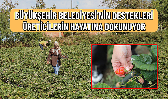 PEYZAJ MİMARLIĞINDAN ÇİLEK ÜRETİCİLİĞİNE!