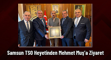 Samsun TSO Heyetinden Mehmet Muş’a Ziyaret