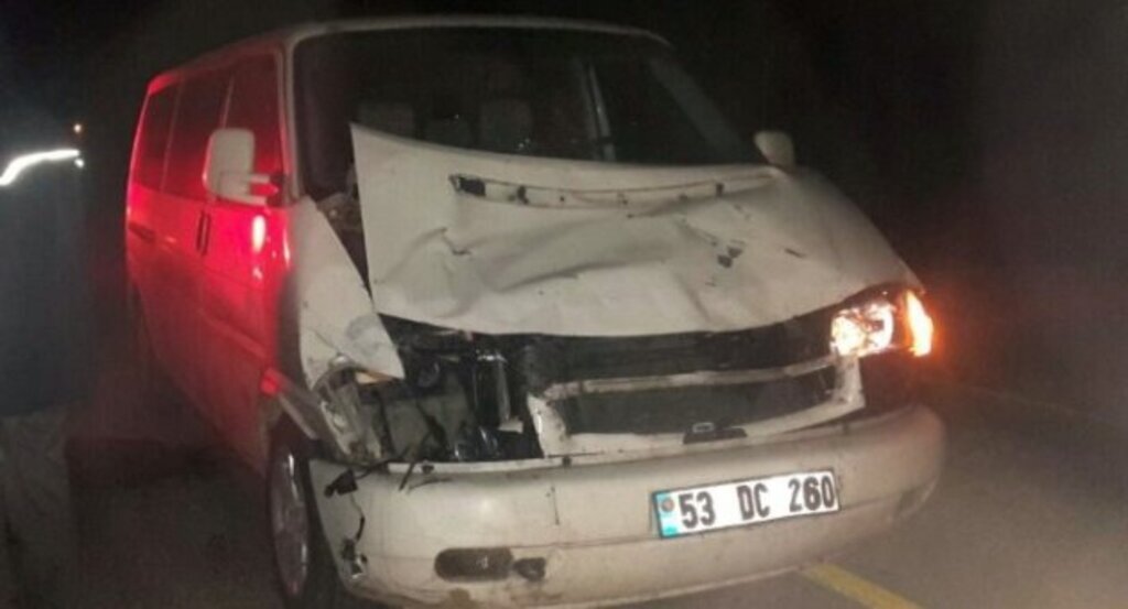 Minibüs aniden yola çıkan ineğe çarptı